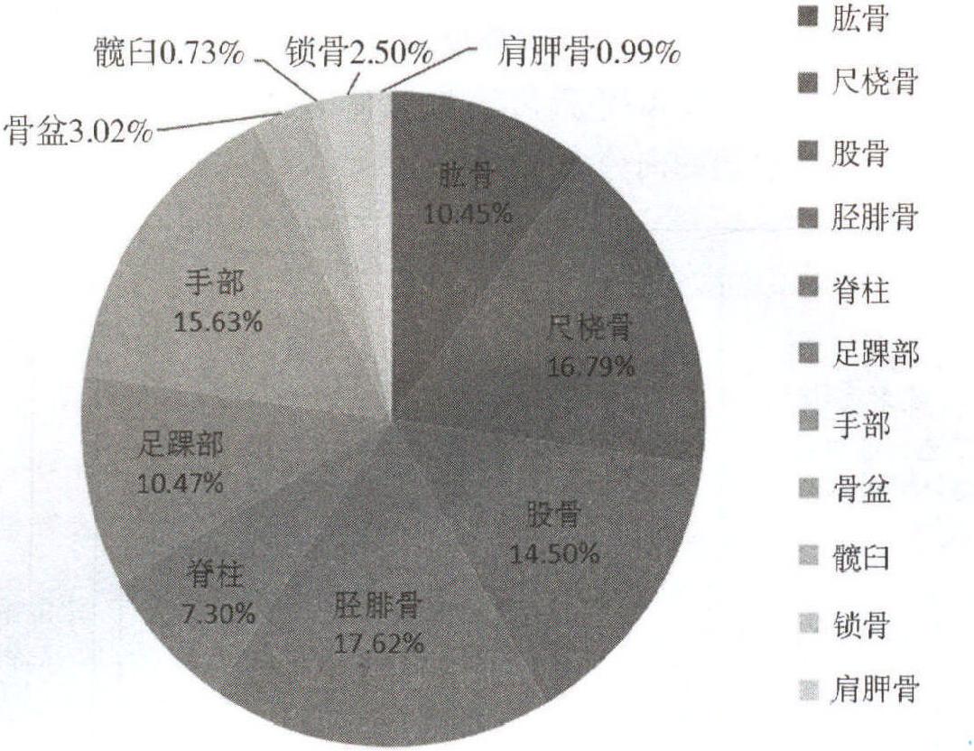 三、創(chuàng)傷流行病學(xué)特點(diǎn)